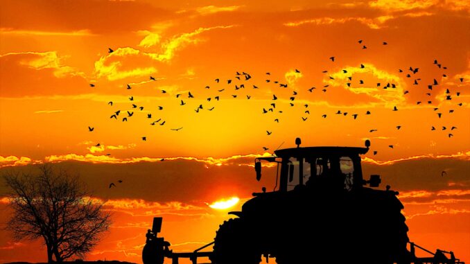 sunset-gdaaebba75_1280