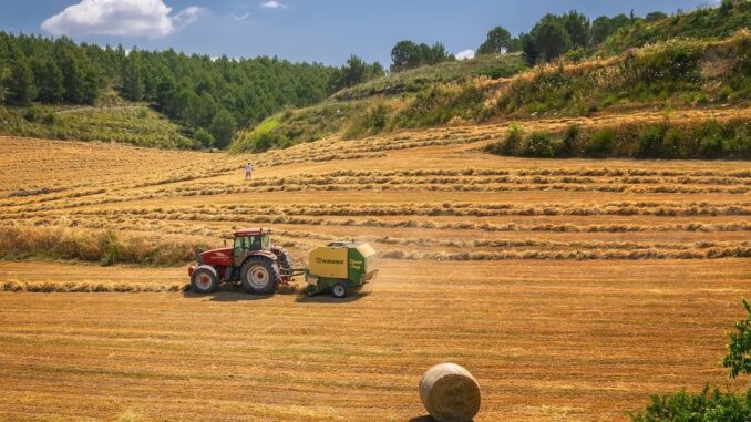 harvest-g1ab7a4c63_1280